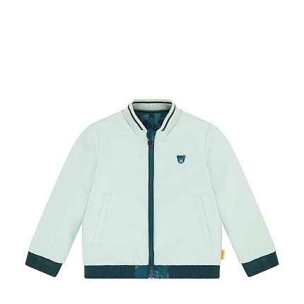 Куртка двостороння, Dinosaur