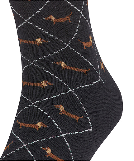 Шкарпетки, Dachshund