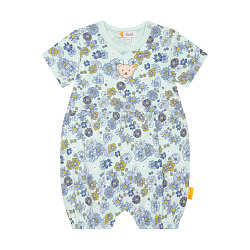 Пісочник, Venice Beach