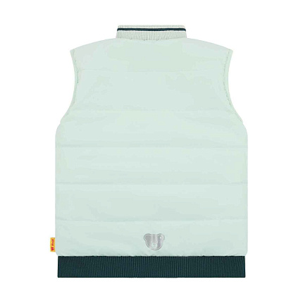 Жилет двосторонній, Dinosaur