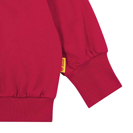 Свитшот, Celebration