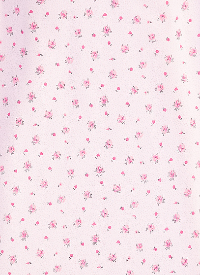 Нічна сорочка, Sleeping Beauty, 1/1