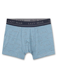 Трусы-шорты, Bear