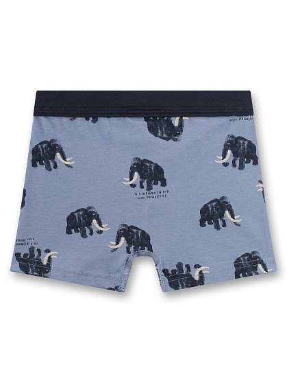 Труси-шорти