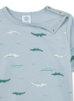 Пісочнік, Crocodile