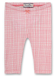 Легінси, Free Bird