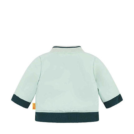 Куртка двостороння, Dinosaur